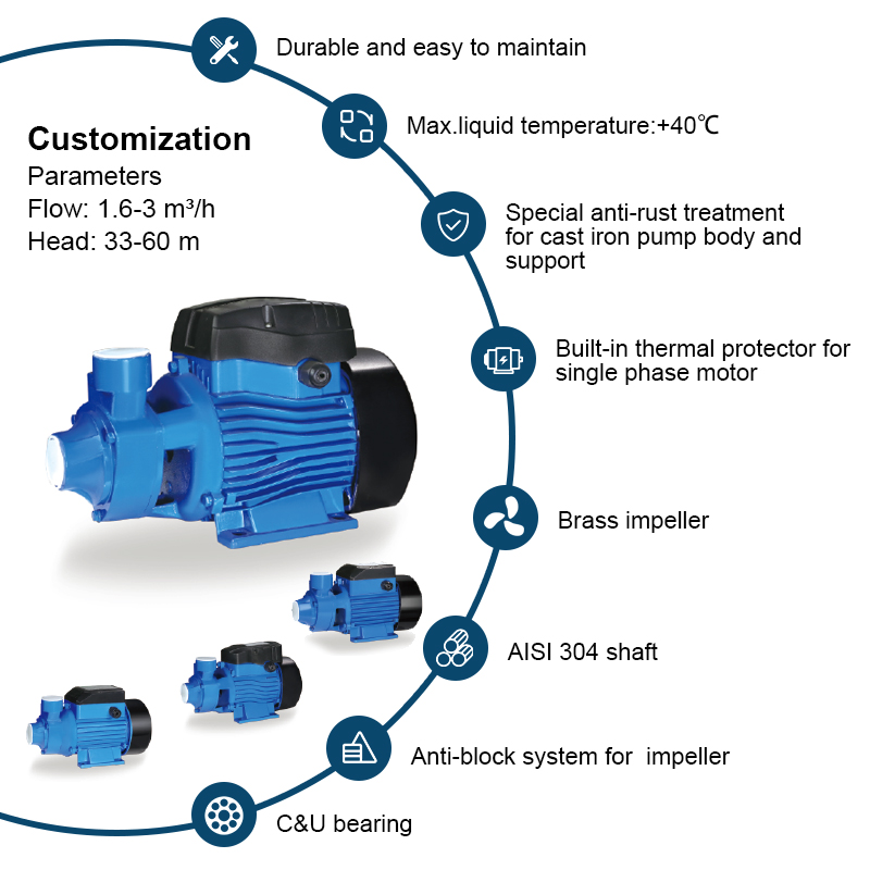 QB-60 Elektrische industrielle Zentrifugalpumpe für klares sauberes Wasser Poolteich 370W